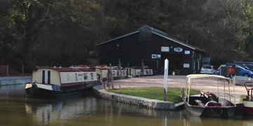 Goytre